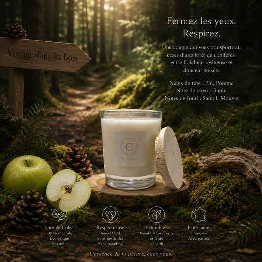 Scented candle - Fir